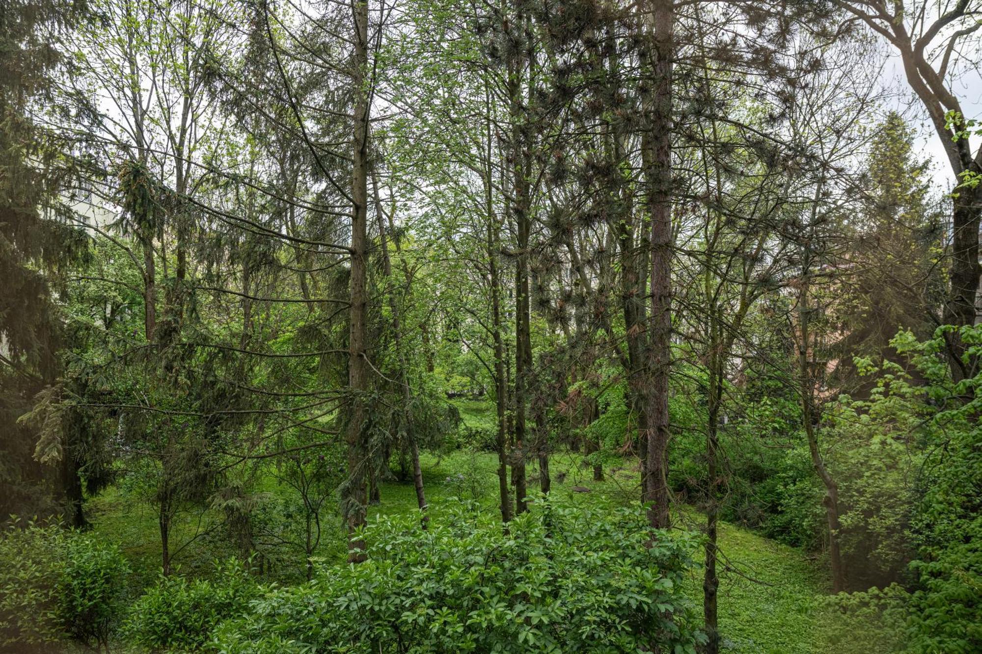 Apartament Parkowy Ul. Raclawicka *